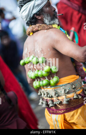 Uomo indù con campane presso la sua vita e limette pendente dal suo ritorno da ganci durante Thaipusam 2015 in Grotte Batu, Malaysia Foto Stock