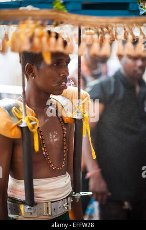 Giovane uomo indù che porta un peso che perfora la pelle sulla schiena con ganci durante Thaipusum 2015 in Grotte Batu, Malaysia Foto Stock