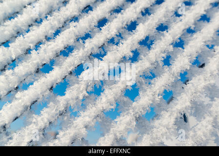 Recinzioni di filo spinato barbwire in cui la neve caduti Foto Stock