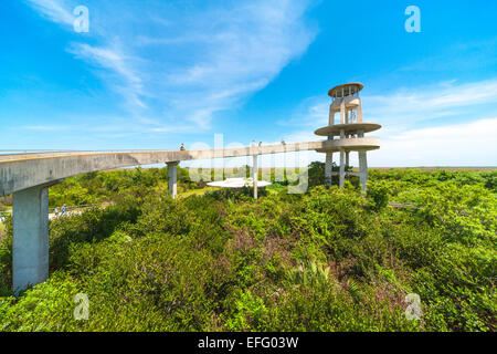 Valle di squalo Everglades visitatori torre di osservazione Everglades National Park Florida US Foto Stock