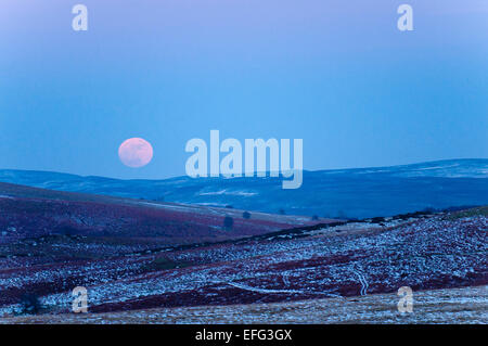 Mynydd Epynt, Powys, Wales, Regno Unito. 3 febbraio, 2015. Le temperature sono di diversi gradi Celsius sotto zero in Galles centrale come la luna piena sorge sopra le alte brughiere di Mynydd Epynt. Credito: Graham M. Lawrence/Alamy Live News. Foto Stock