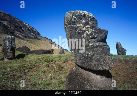 Moais a Rano Raraku. Isola Orientale, Cile Foto Stock