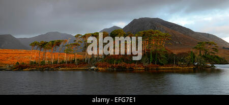 Stormy Sunrise Lough Derryclare Connemara lago dodici perni benna bens beola montagne ad ovest dell Irlanda montagne RM IRLANDA Foto Stock