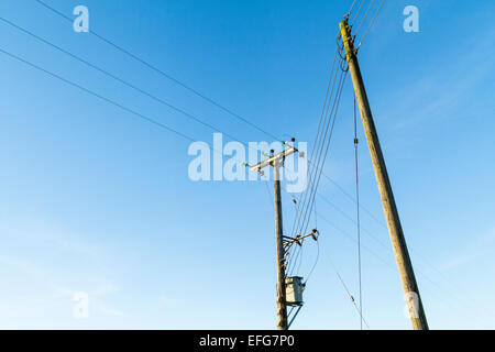 Tettuccio di linee elettriche supportato da utilità di legno poli, Nottinghamshire, England, Regno Unito Foto Stock