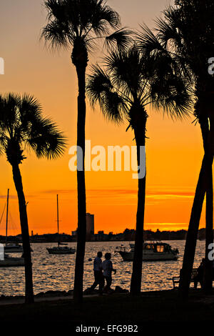 Tramonto da Bayfront Park Sarasota, Florida Foto Stock