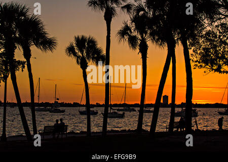 Tramonto da Bayfront Park Sarasota, Florida Foto Stock