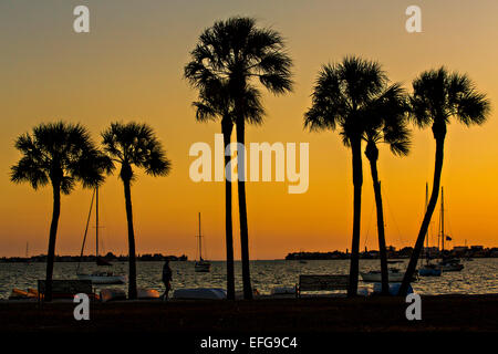 Tramonto da Bayfront Park Sarasota, Florida Foto Stock