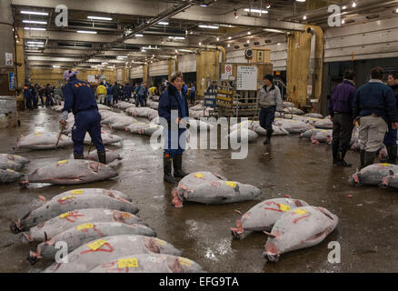 Gli acquirenti di ispezionare il tonno congelato presso il Mercato del Pesce di Tsukiji, Tokyo, Giappone Foto Stock