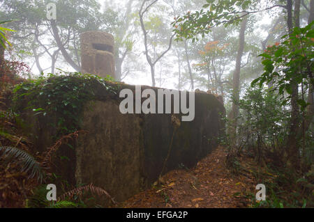 Bunker, scatola di pillole, Hong Kong Foto Stock