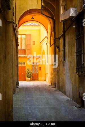 Bologna, Italia, vicolo, luce, PORTA ANTERIORE, PORTA, patio, luce dorata Foto Stock