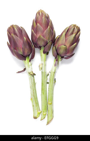 Carciofi su sfondo bianco Foto Stock