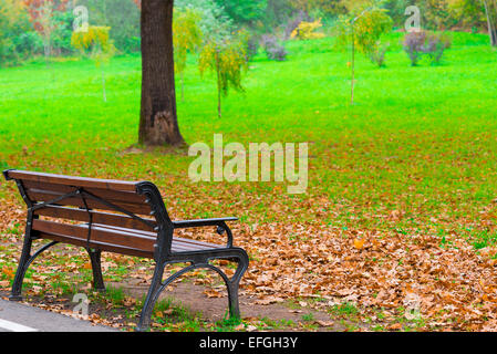 Caduta foglie su un prato in autunno park e panca Foto Stock