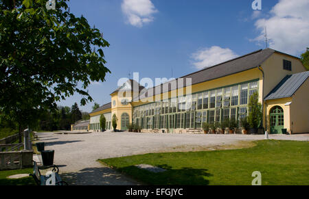 Aranciera nella motivazione di Schloss Esterhazy Palace, Eisenstadt, Burgenland, Austria Foto Stock