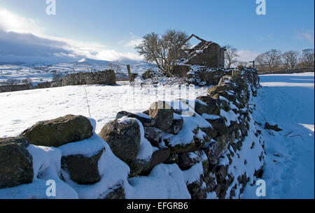 Una giornata invernale e in Wensleydale Foto Stock