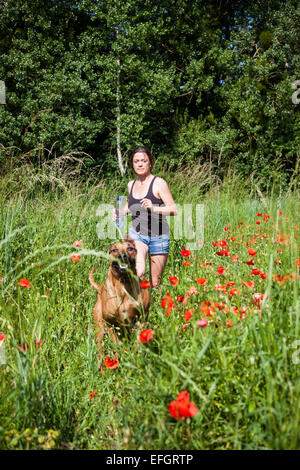 Giovane donna e Ridgeback rhodesiano in esecuzione attraverso la fioritura del campo di papavero Foto Stock