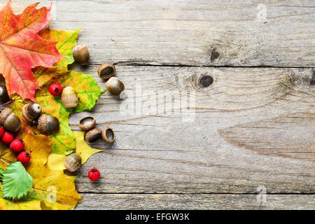 Autunno con sfondo colorato caduto foglie, ghiande e bacche sul tavolo di legno, spazio di copia Foto Stock