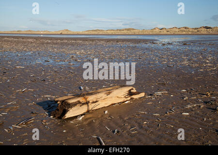 Southport, Merseyside, Regno Unito il 4 febbraio, 2015 UK Meteo. Ainsdale Beach cosparso con dei blocchi di legno pesante dopo la recente tempesta vigore venti dal mare d'Irlanda. Le spiagge intorno a Merseyside hanno ricoperto di strame marino portato dal blustery venti di nord-ovest che sconvolse il litorale, raggiungendo a volte in eccesso di 30 nodi. Mentre tali eventi sono un fenomeno naturale di 1,7 m di alta marea accoppiato con il forte vento onshore fornito straordinarie condizioni di deposito di oggetti di grandi dimensioni sul litorale. Credito: Mar fotografico/Alamy Live News Foto Stock