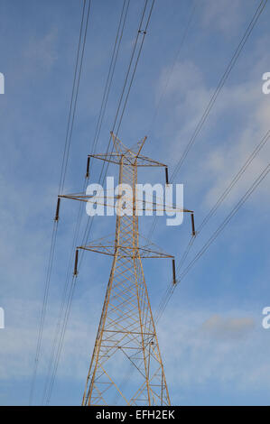 Torre di trasmissione di elettricità del pilone struttura in acciaio e linee di alimentazione. Foto Stock