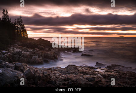 Sunrise lungo la costa rocciosa del Parco Nazionale di Acadia, Maine, Stati Uniti d'America Foto Stock