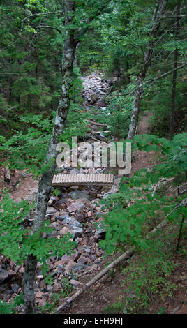 Parco Nazionale di Acadia, ME - 6 Settembre 2014: un semplice ponte collega un sentiero escursionistico oltre un flusso di rocce. Foto Stock