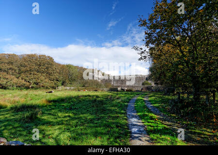 Palazzo dei Vescovi, St Davids Cathedral (Gallese Eglwys Gadeiriol Tyddewi), è situato a St Davids nella contea di Pembrokeshire Foto Stock