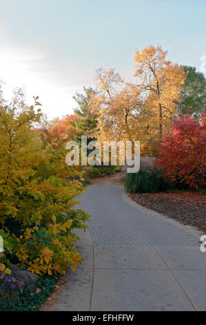 Avvolgimento viale alberato a olbrich Botanical gardens durante l'autunno in Madison Wisconsin Foto Stock