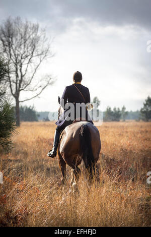 Una signora cavallo Cavaliere di prendere parte a un cervo caccia con hounds nel Landes (Francia). Cavalière partecipante à une chasse à courre Foto Stock