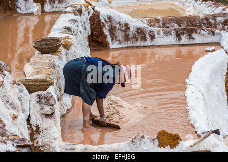 Maras, Perù - Luglio 23, 2013: la donna lavora a Maras miniere di sale nelle Ande peruviane a Cuzco Perù sulla luglio 23, 2013 Foto Stock