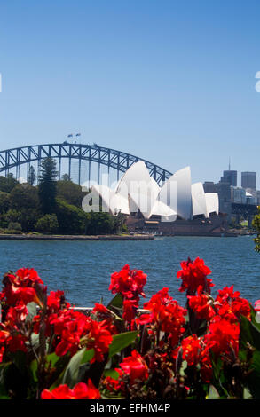 Sydney Opera House e Harbour Bridge di tutta Farm Cove nel Giardino Botanico Reale con fiori di colore rosso in primo piano a Sydney in modo nuovo Foto Stock