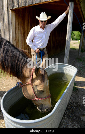 Cowboy a cavallo di bere dal trogolo di acqua Foto Stock