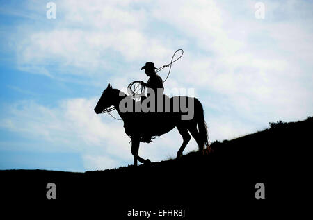 Cowboy a cavallo stagliano con lazo. Silhouette di cowboy a cavallo Foto Stock