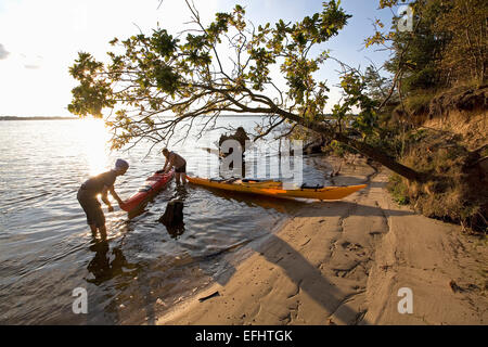 Persone con kayak sulla riva del sole, Schlei, Schleswig-Holstein, Germania, Europa Foto Stock