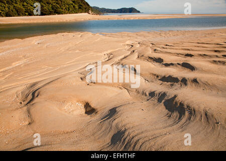 Sandbank, con fluttuazioni nella sabbia dorata, Awaroa ingresso, Abel Tasman via litoranea, grande passeggiate, a nord-ovest di Isola del Sud, Abel Ta Foto Stock