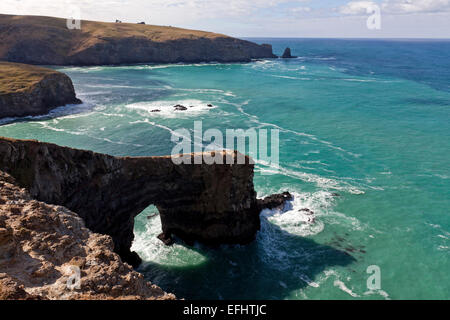Arco di mare lungo la costa rocciosa sulle rive via a piedi, danneggiato dal terremoto del 2011, la Penisola di Banks, Canterbury, Sud Islan Foto Stock