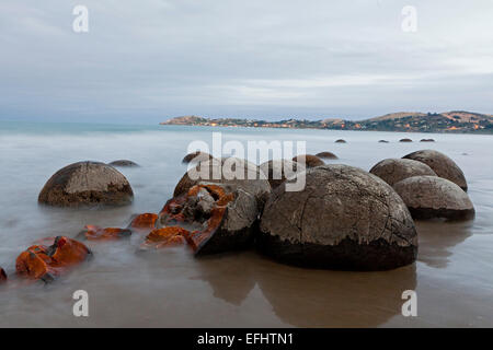 Moeraki Boulders, grandi concrezioni sferica sulla spiaggia, sfera di pietra, Moeraki, Otago, Isola del Sud, Nuova Zelanda Foto Stock
