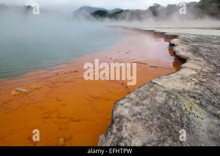 Champagne, piscina piscina geotermica con biossido di carbonio bolle, Waio-tapu Crater Lake, vicino a Rotorua, Isola del nord, Nuova Zelanda Foto Stock