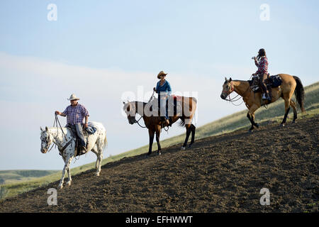 Piloti del Cavallino a La Reata ranch canadese, praterie, Saskatchewan, Canada. Foto Stock