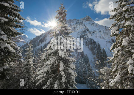 Paesaggio Di Inverno in Valle Hintersteiner vicino a Bad Hindelang, visualizzare a Giebel, Allgaeu, Baviera, Germania Foto Stock