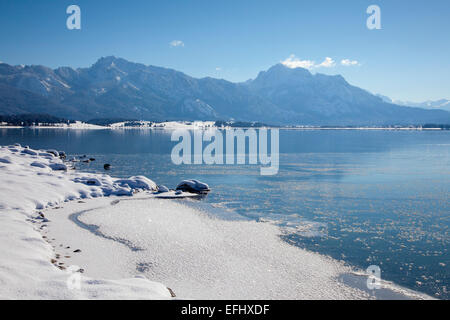 Il lago di Forggensee con vista dell'Allgaeu Alpi con Tegelberg e Saeuling, Allgaeu, Baviera, Germania Foto Stock