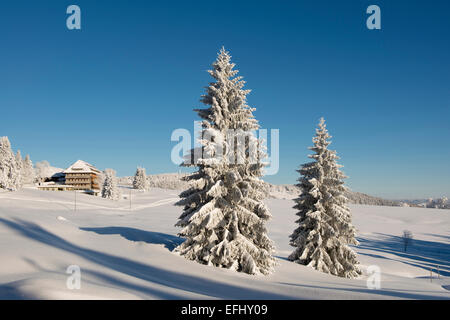 Coperta di neve alberi e hotel Halde, Schauinsland, nei pressi di Freiburg im Breisgau, Foresta Nera, Baden-Wuerttemberg, Germania Foto Stock