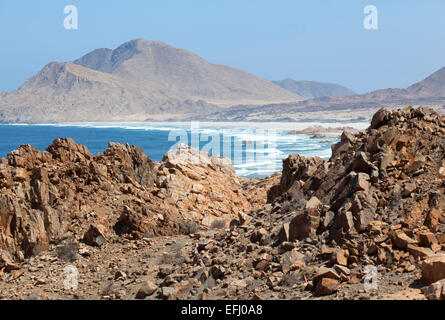 Pan de Azucar Parco Nazionale. Regione de Atacama & Antofagasta. Il Cile. Foto Stock