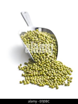 Mung bean in metallo convogliatore Foto Stock