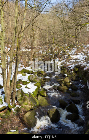 Burbage Brook in esecuzione attraverso la scogliera di filato in legno Padley Gorge sul Longshaw Station Wagon nel Derbyshire. Foto Stock