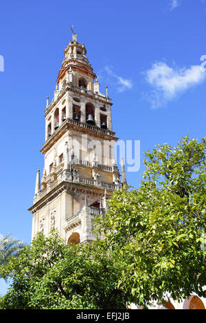 Il campanile della cattedrale (la Mezquita), Cordoba Foto Stock