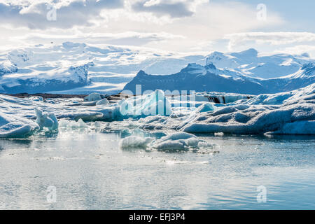 Jökulsárlón, la splendida Laguna di ghiaccio lungo l'autostrada 1, sulla costa sud dell'Islanda. Foto Stock