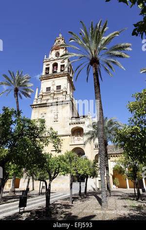 Cortile della Cattedrale (la Mezquita), Cordoba Foto Stock