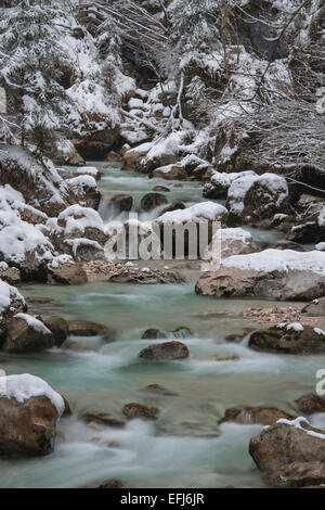 In inverno il Ramsauer Ache nella foresta Zauberwald, Parco Nazionale di Berchtesgaden Ramsau vicino a Berchtesgaden District Foto Stock