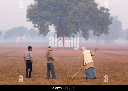 India, Uttar Pradesh, Agra, agricoltore zappando il suo paese con l'aiuto di figli Foto Stock