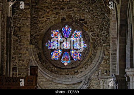 St Davids Cathedral (Gallese Eglwys Gadeiriol Tyddewi), è situato a St Davids nella contea di Pembrokeshire rosone Foto Stock