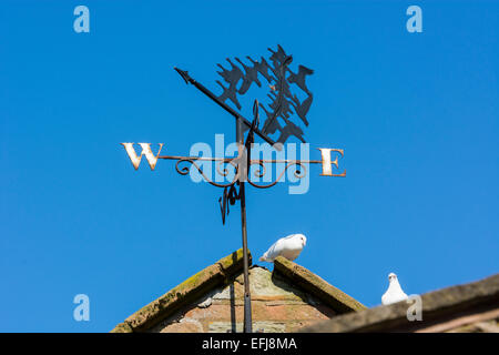 Weathervane con fiocco colombe Foto Stock